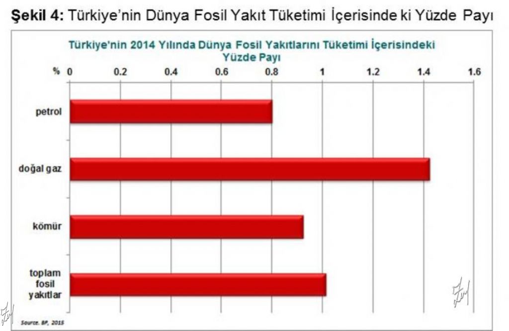 Geçmişten Geleceğin izlerini sürmek