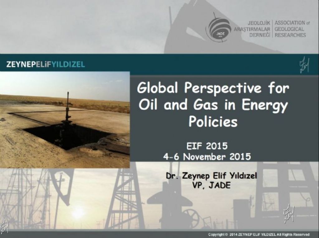 Global Perspective for Oil and Gas in Energy Policies